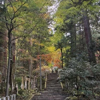 画像233