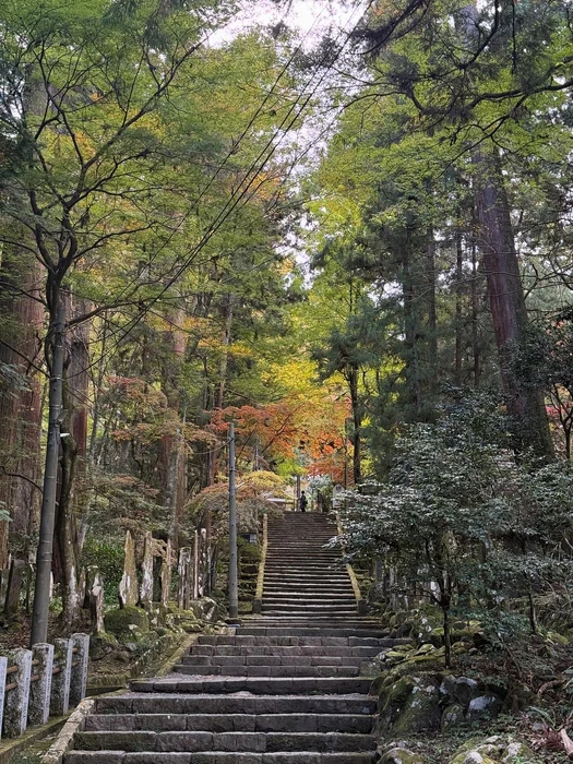 画像233