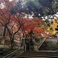 画像235