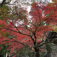 画像236