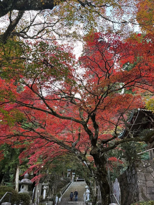 画像236