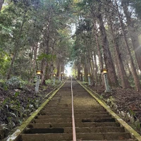 画像238