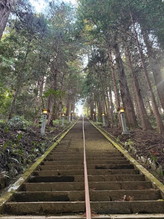 画像238