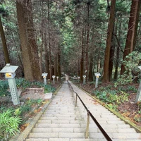 画像239