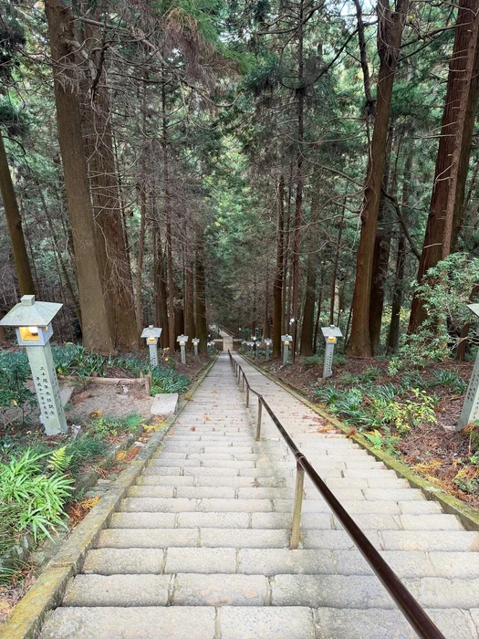 画像239
