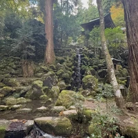 画像240