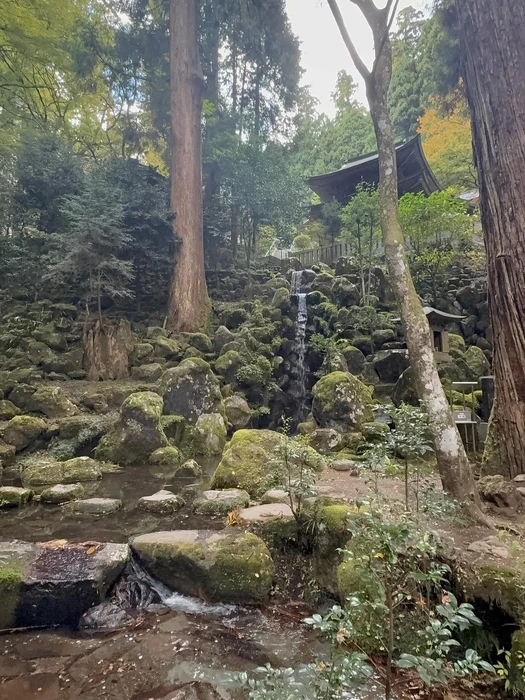 画像240