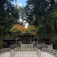 画像241