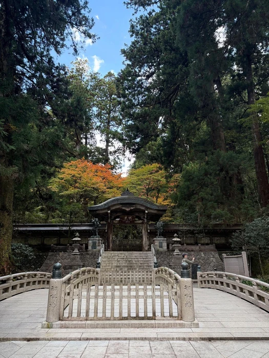 画像241