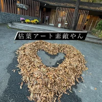 画像246