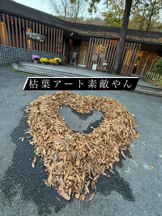 画像246
