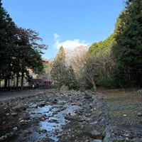 画像256