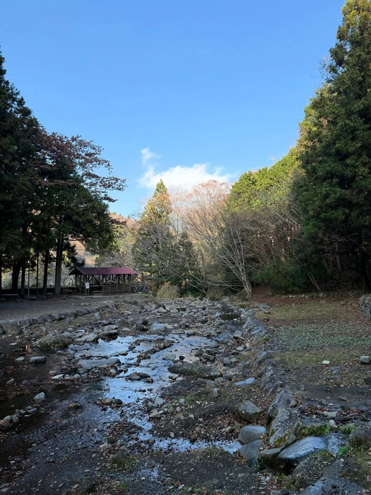画像256