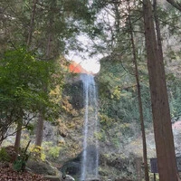 画像259