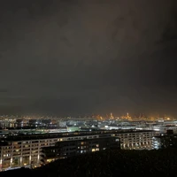 画像308