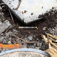 画像322