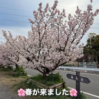 画像326