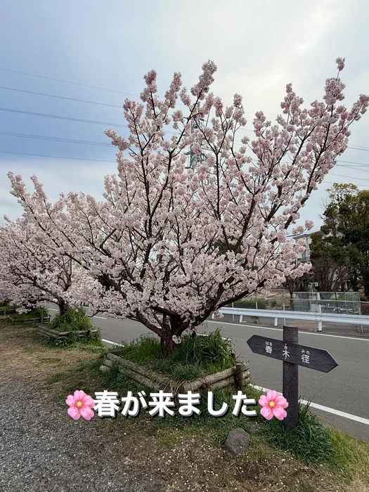 画像326