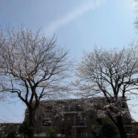 画像333