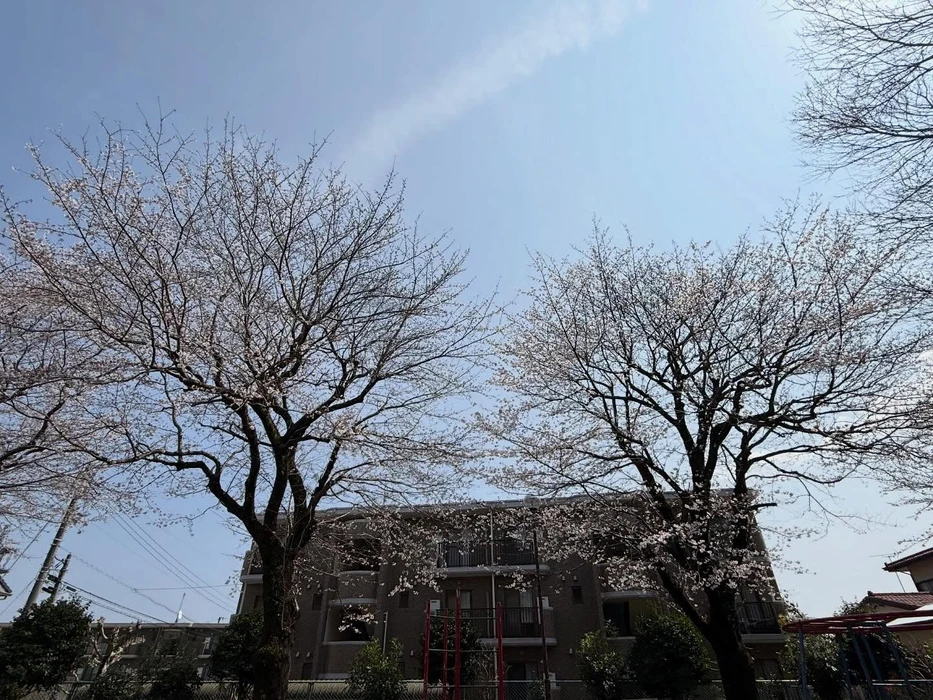 画像333