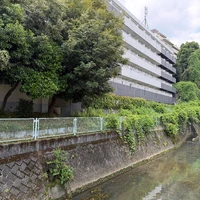 画像356